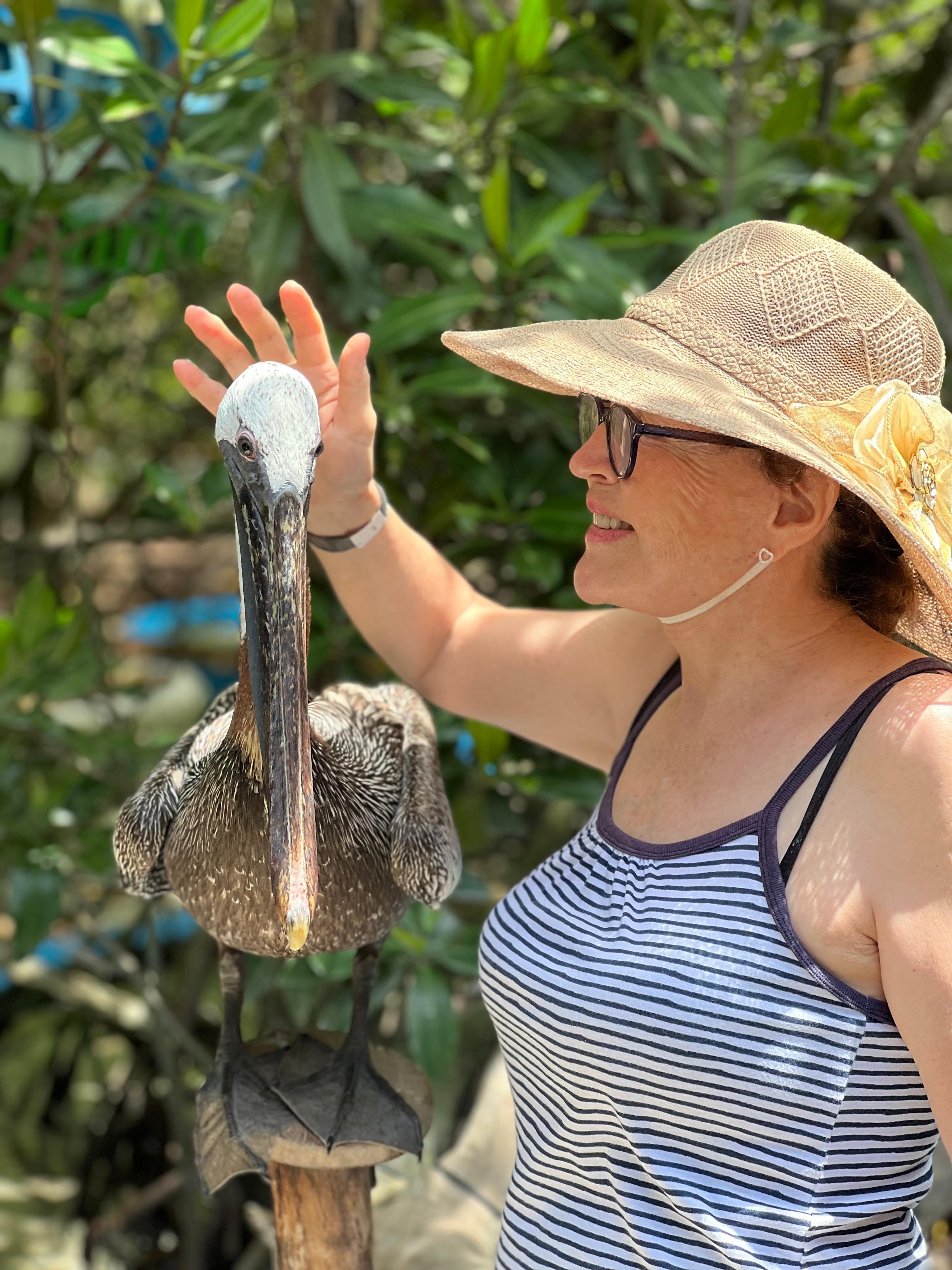 Galapagos: Santa Cruz Todo Incluido