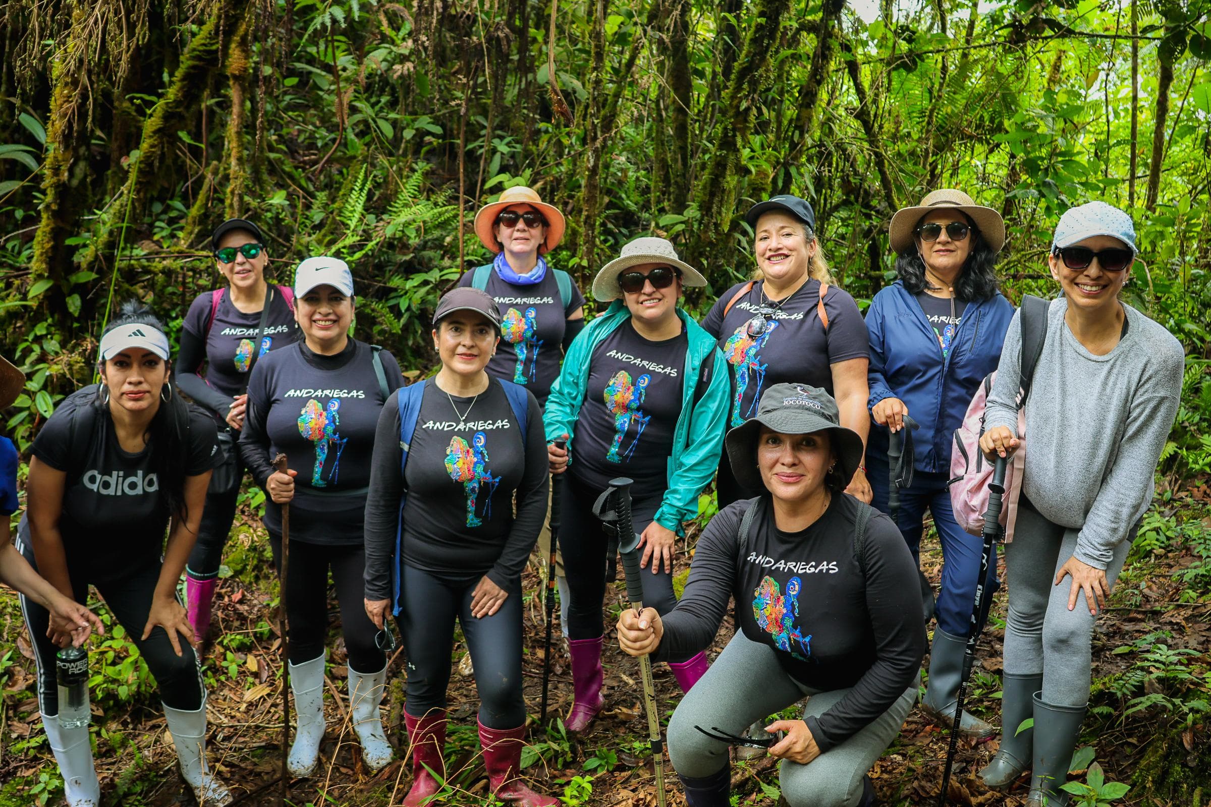 Santiago de Chile: Ciudad y Nieve